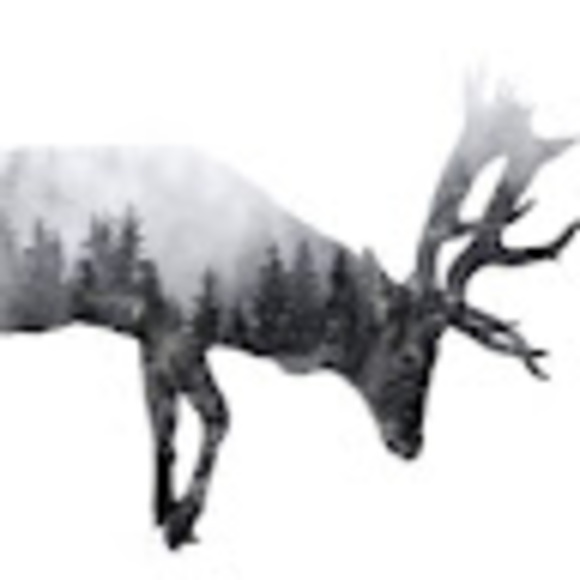 Meet your Posher, Catherine - Picture 1 of 1